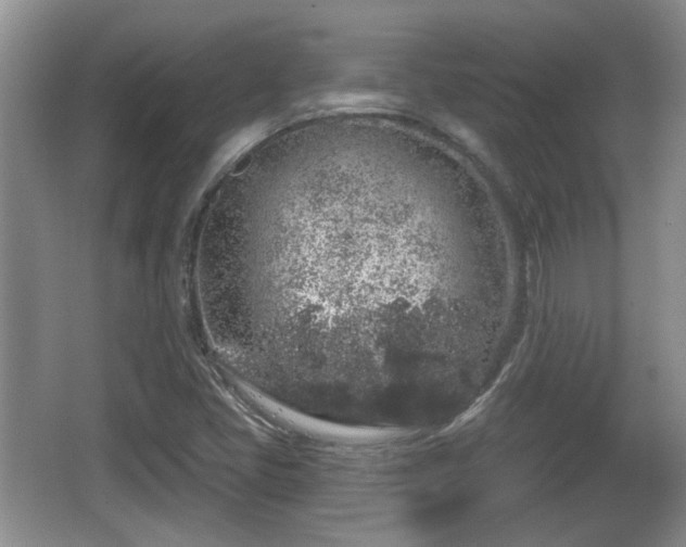 X0000064721405200602131212