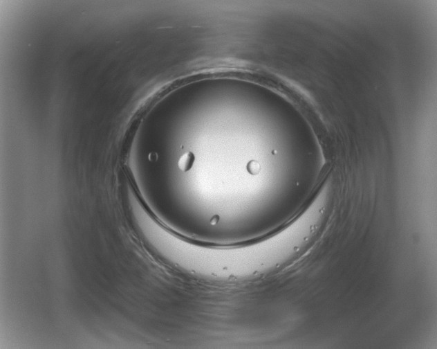 X0000064721407200602131212