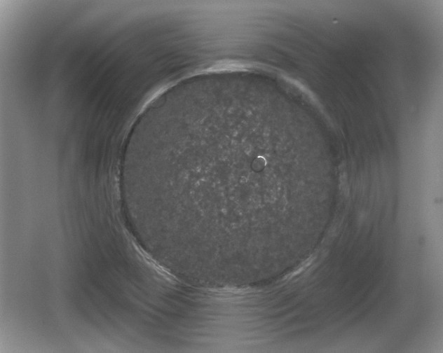 X0000064721409200602131212