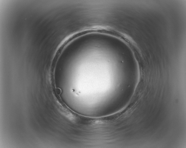 X0000064721412200602131212