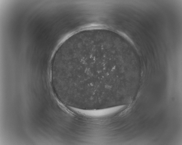 X0000064721413200602131212