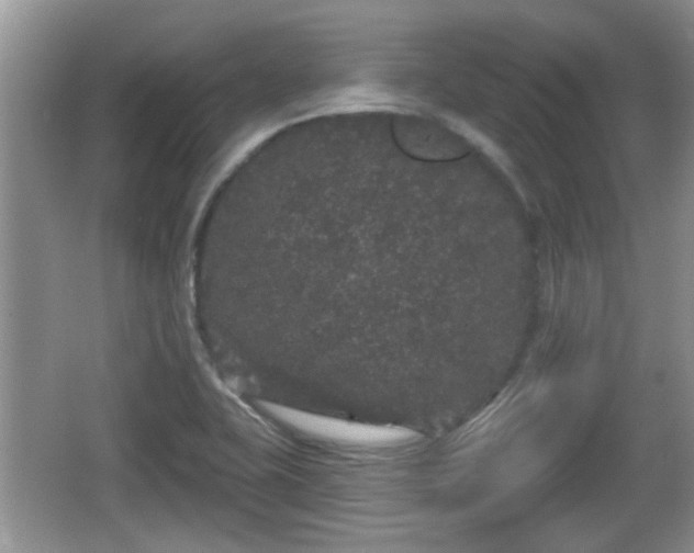 X0000064721415200602131212