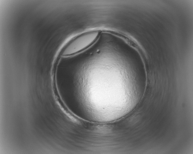 X0000064721416200602131212