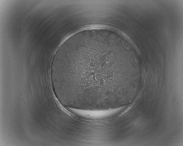 X0000064721417200602131212