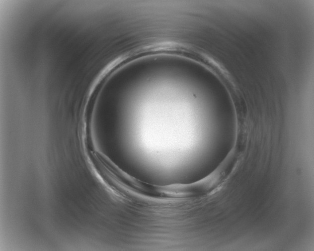 X0000064721418200602131212