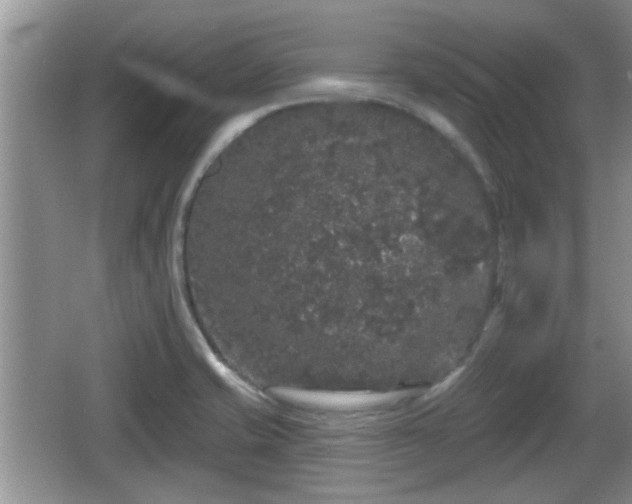 X0000064721421200602131212