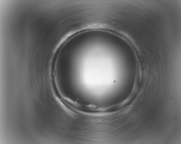 X0000064721422200602131213