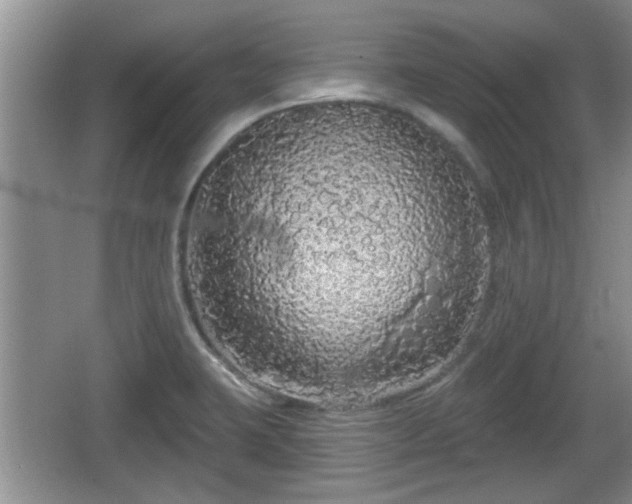 X0000064721423200602131213