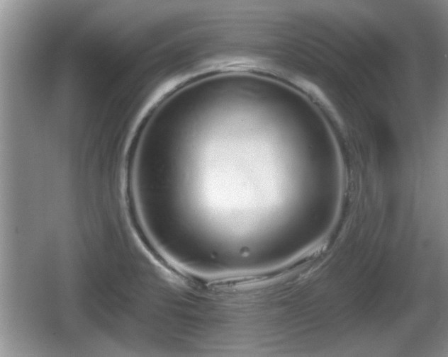 X0000064721424200602131213