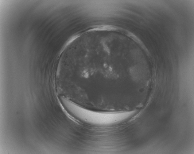 X0000064721425200602131213