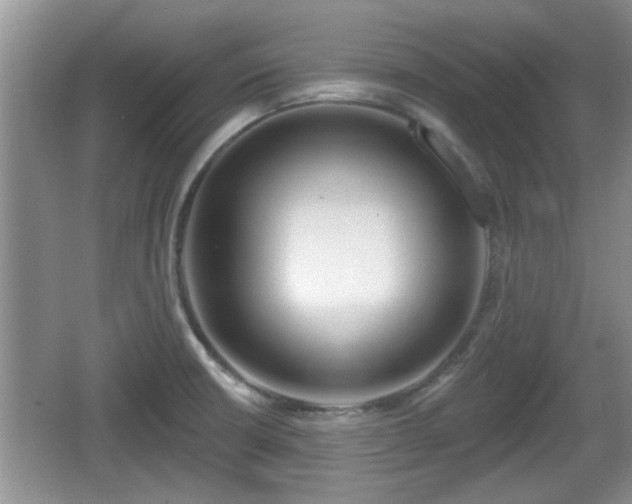 X0000064721426200602131213