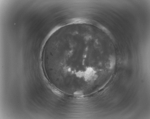 X0000064721427200602131213