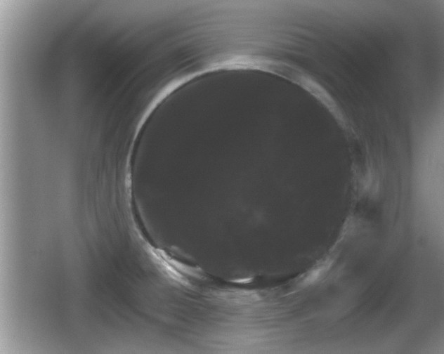 X0000064721428200602131213