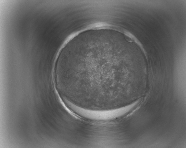 X0000064721429200602131213