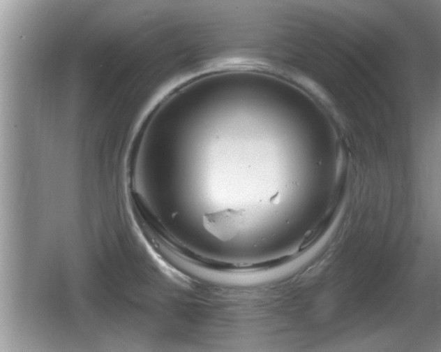 X0000064721430200602131213