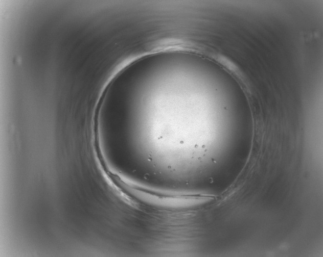 X0000064721431200602131213