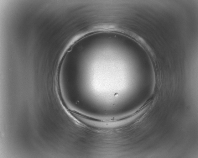 X0000064721432200602131213