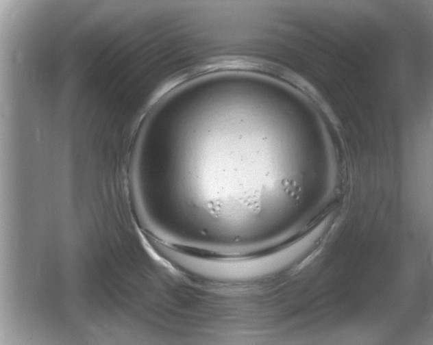 X0000064721433200602131213