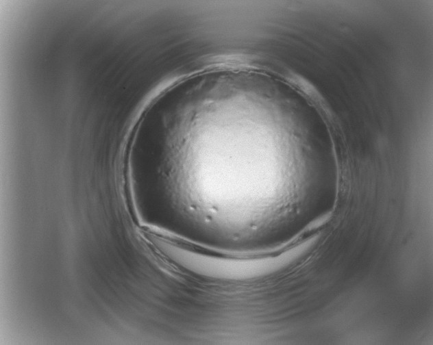 X0000064721435200602131213