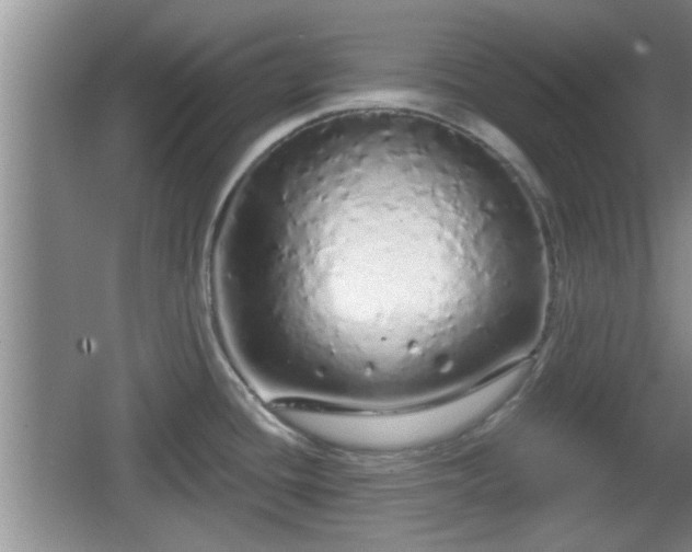 X0000064721436200602131213