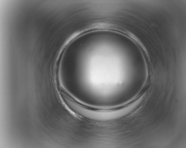 X0000064721437200602131213