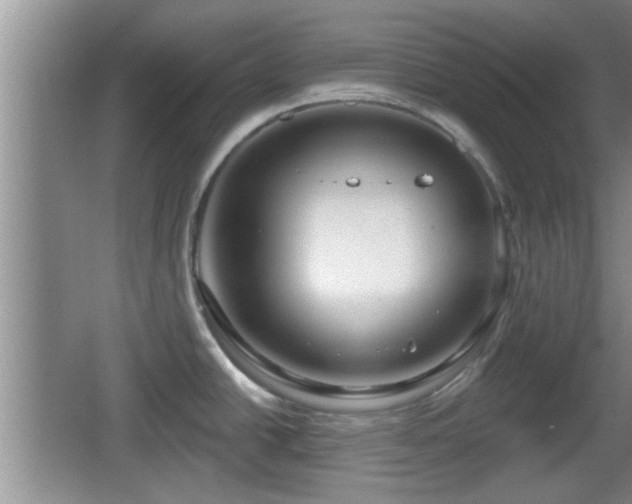 X0000064721438200602131213