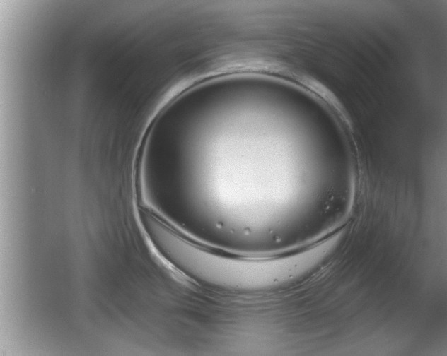 X0000064721439200602131213