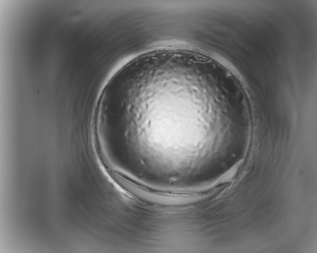 X0000064721440200602131213