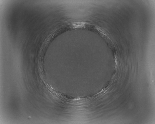 X0000064721441200602131212