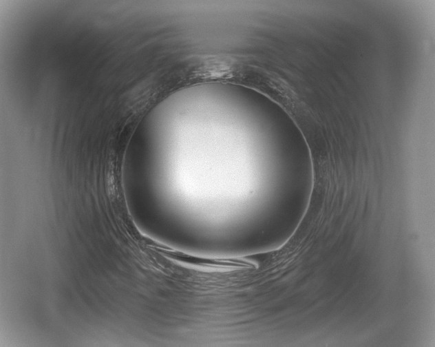 X0000064721442200602131212