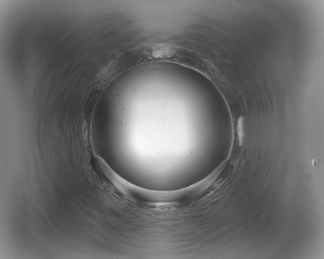 X0000064721443200602131212