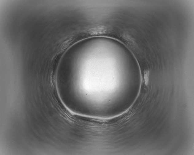 X0000064721444200602131212