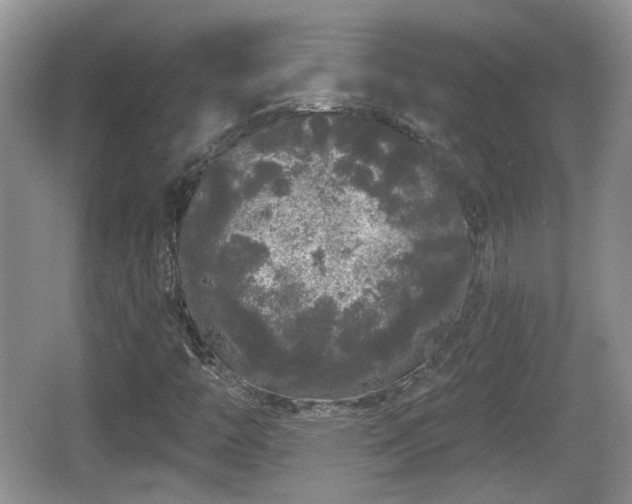 X0000064721446200602131212