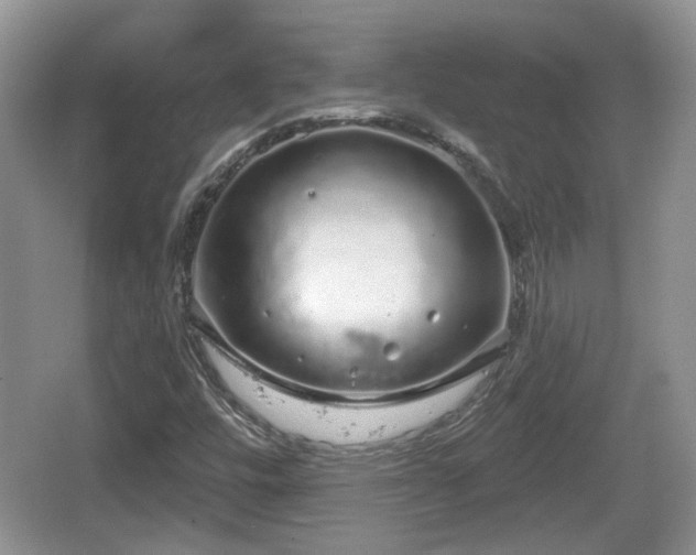 X0000064721448200602131212