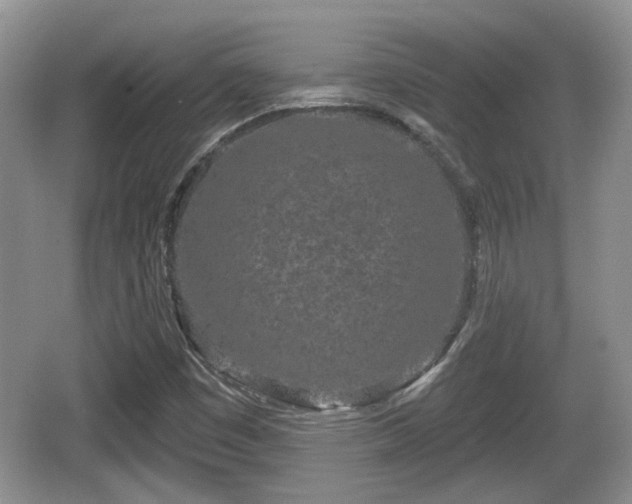 X0000064721449200602131212