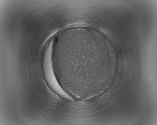 X0000064721450200602131212