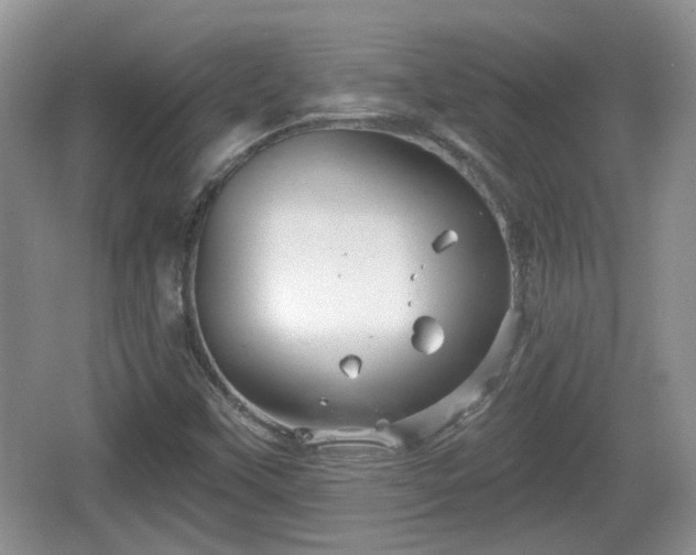 X0000064721451200602131212