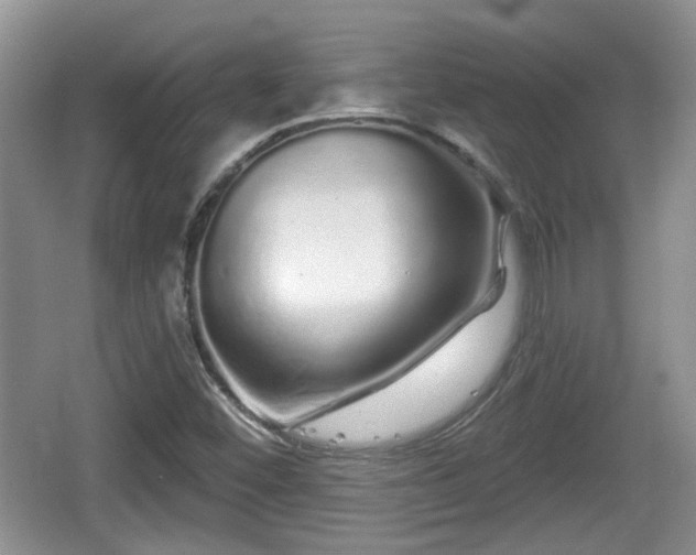 X0000064721452200602131212