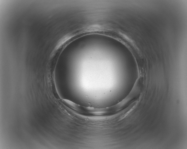 X0000064721453200602131212