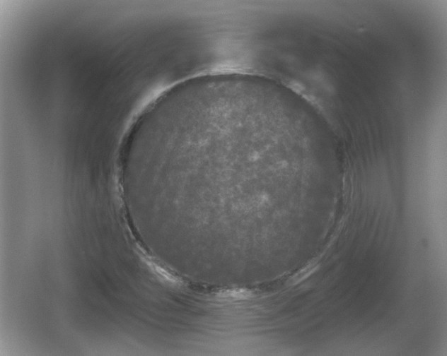 X0000064721454200602131212