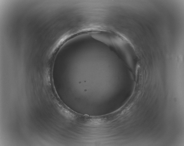 X0000064721455200602131212