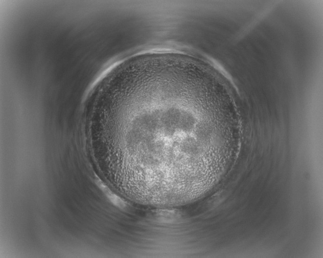 X0000064721456200602131212