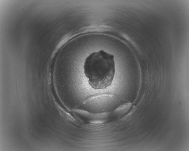 X0000064721459200602131212