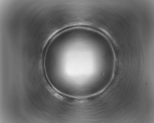 X0000064721460200602131212