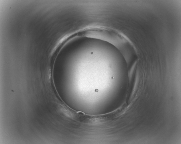 X0000064721461200602131212