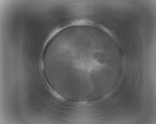 X0000064721462200602131212