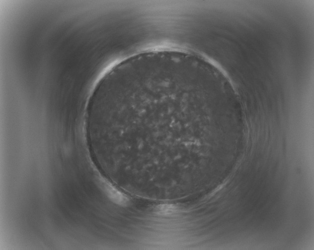 X0000064721463200602131212