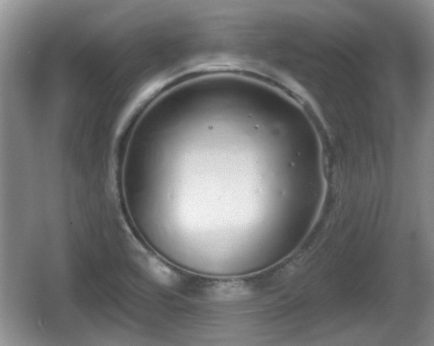 X0000064721464200602131212