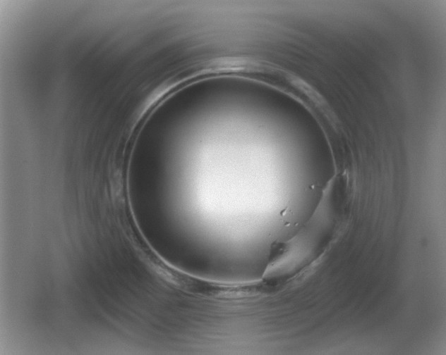 X0000064721465200602131212