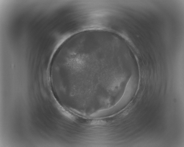 X0000064721466200602131212